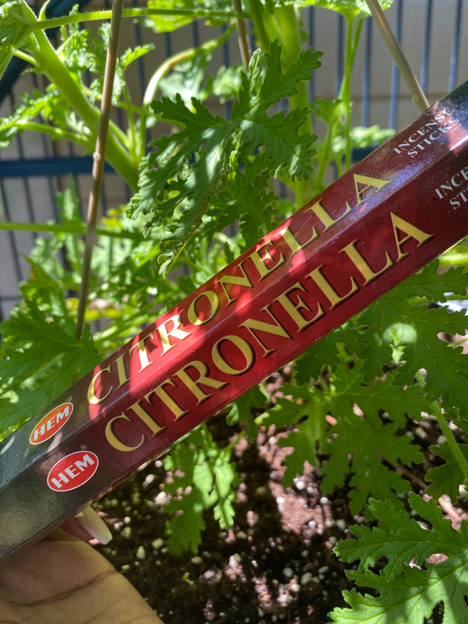 Citronella Incense - Queen Bey Health 