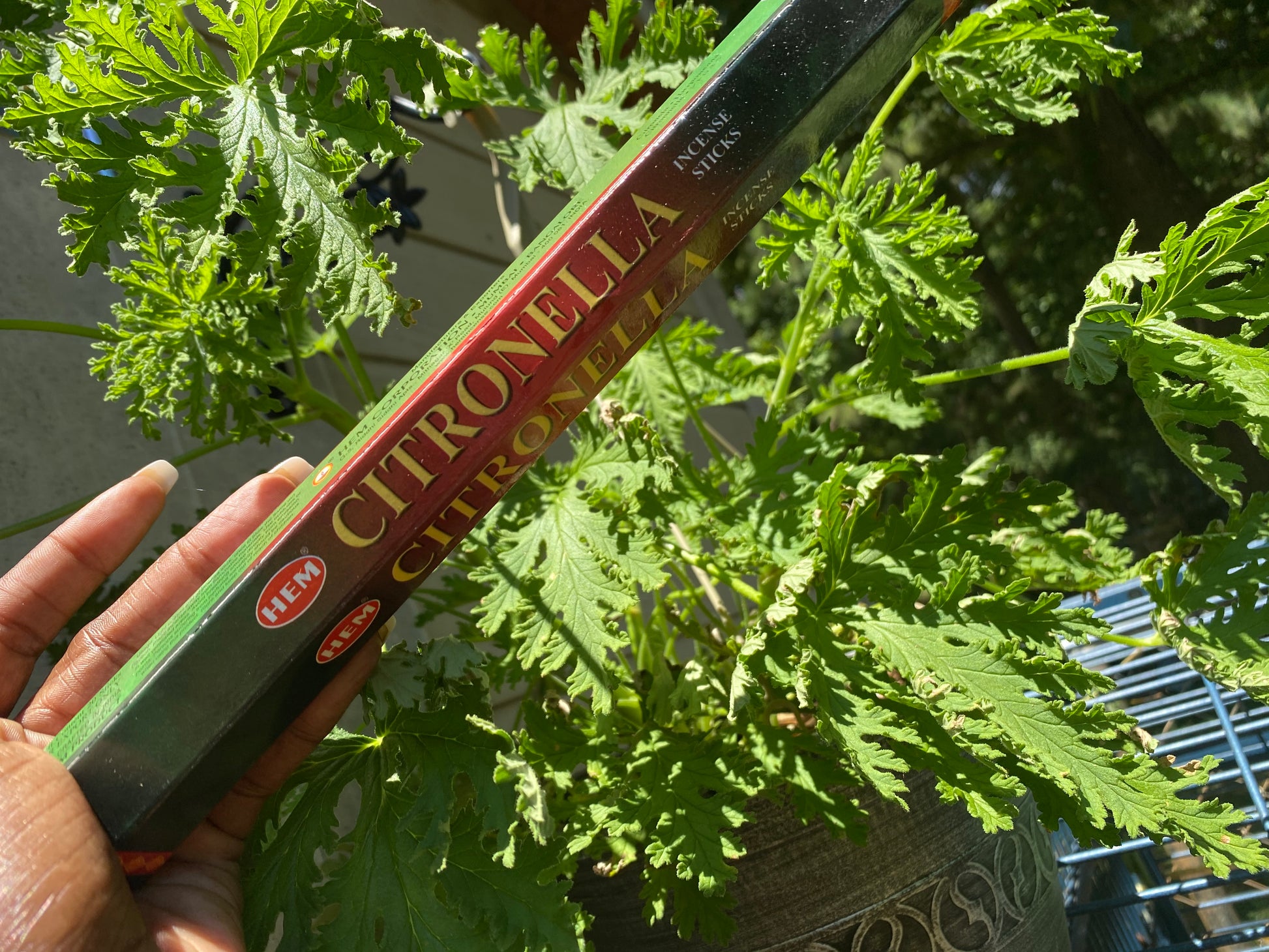 Citronella Incense - Queen Bey Health 